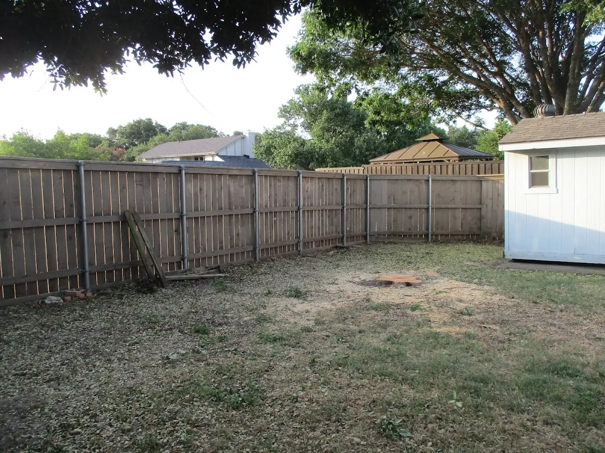 Cleared yard after professional tree removal in Davenport