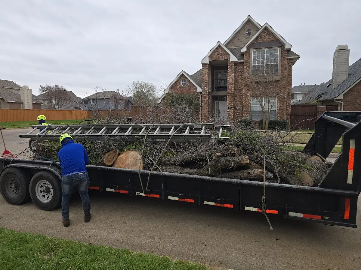 Expert Tree Removal with proper safety equipment in Davenport